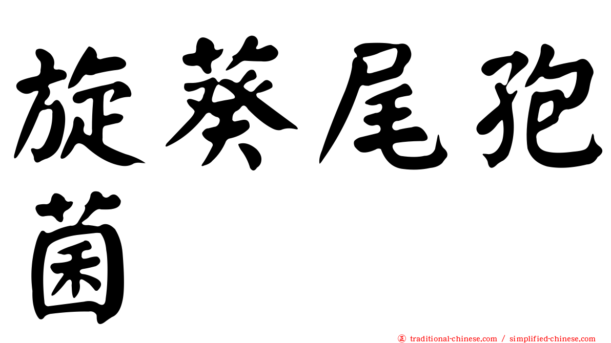 旋葵尾孢菌