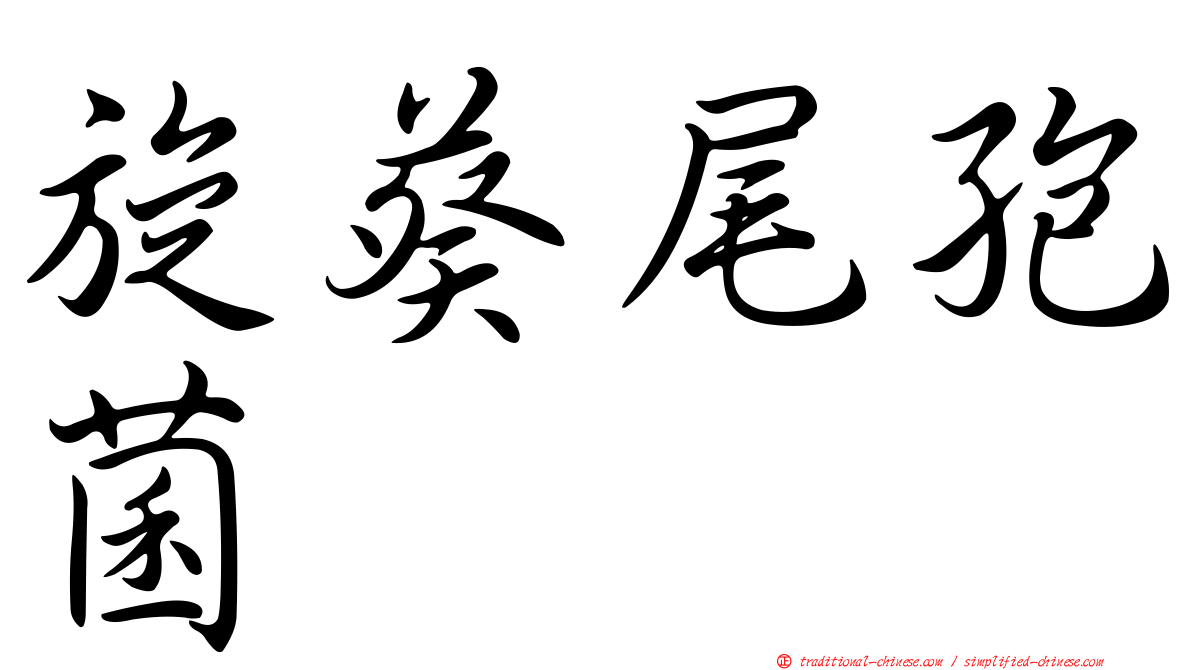 旋葵尾孢菌