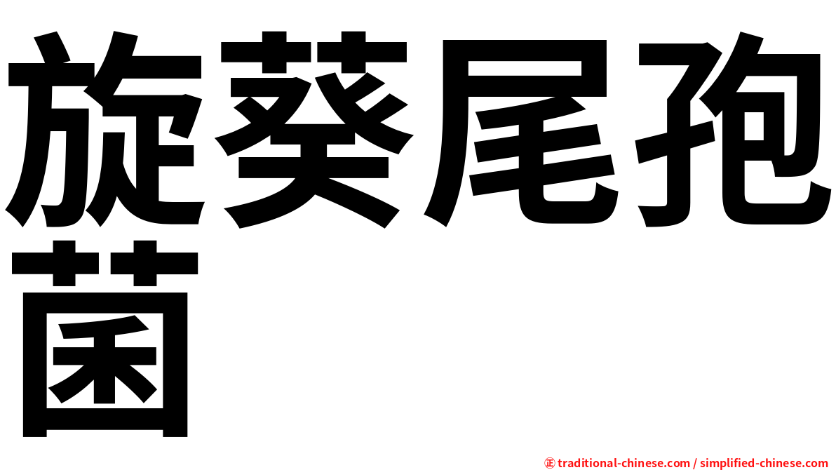 旋葵尾孢菌