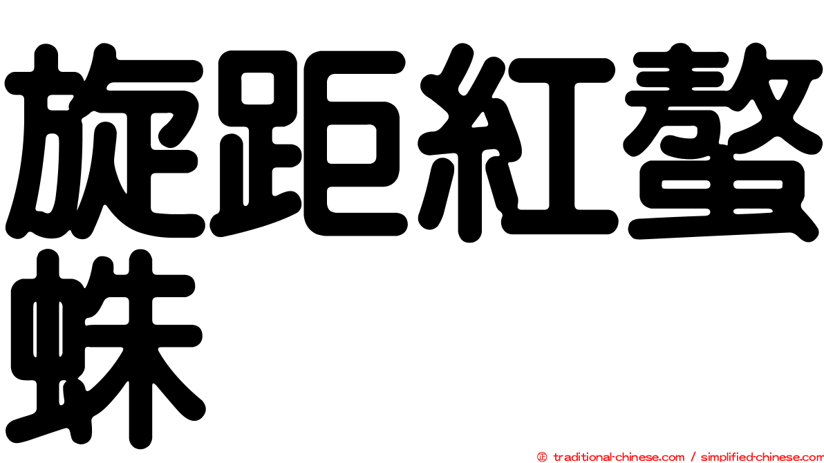 旋距紅螯蛛