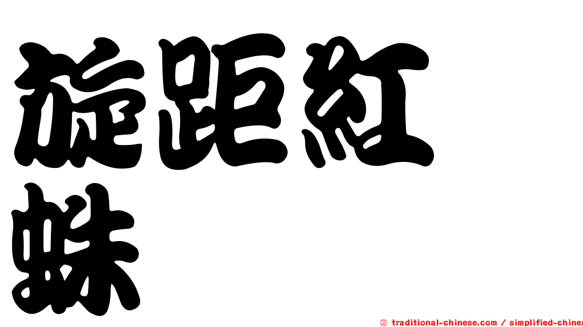 旋距紅螯蛛