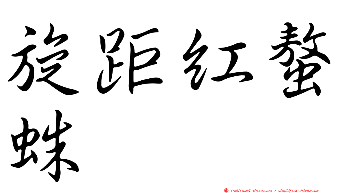 旋距紅螯蛛