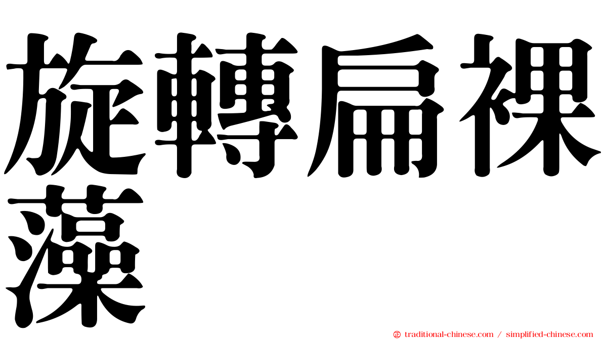 旋轉扁裸藻