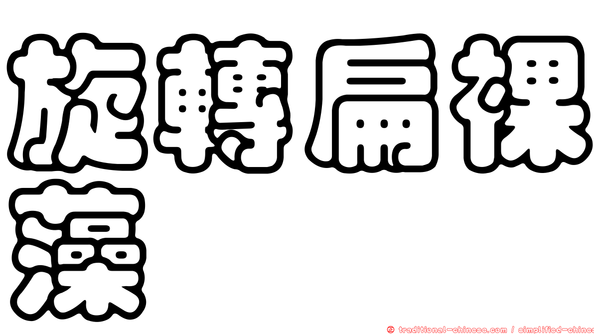 旋轉扁裸藻