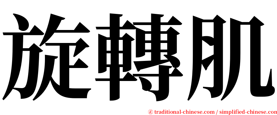 旋轉肌 serif font