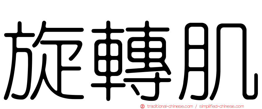 旋轉肌