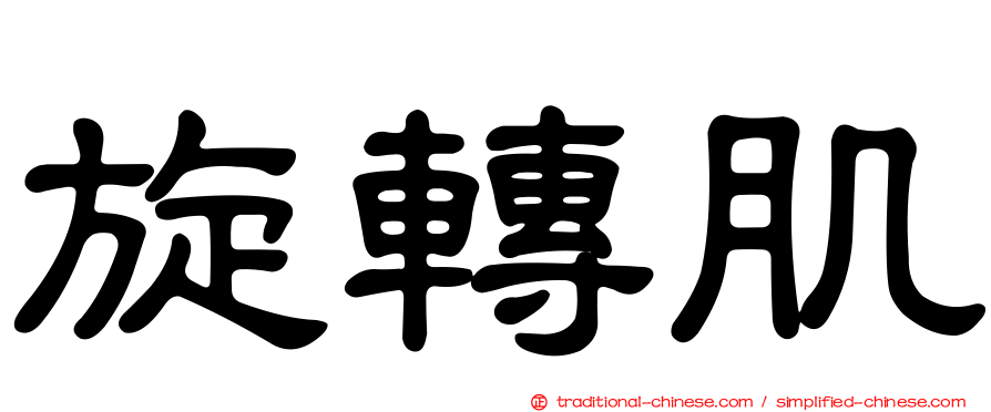 旋轉肌