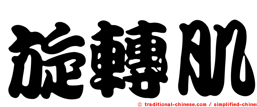 旋轉肌