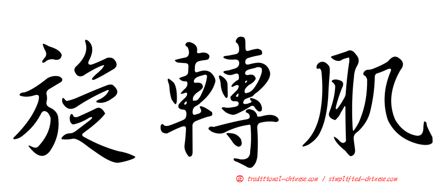 旋轉肌