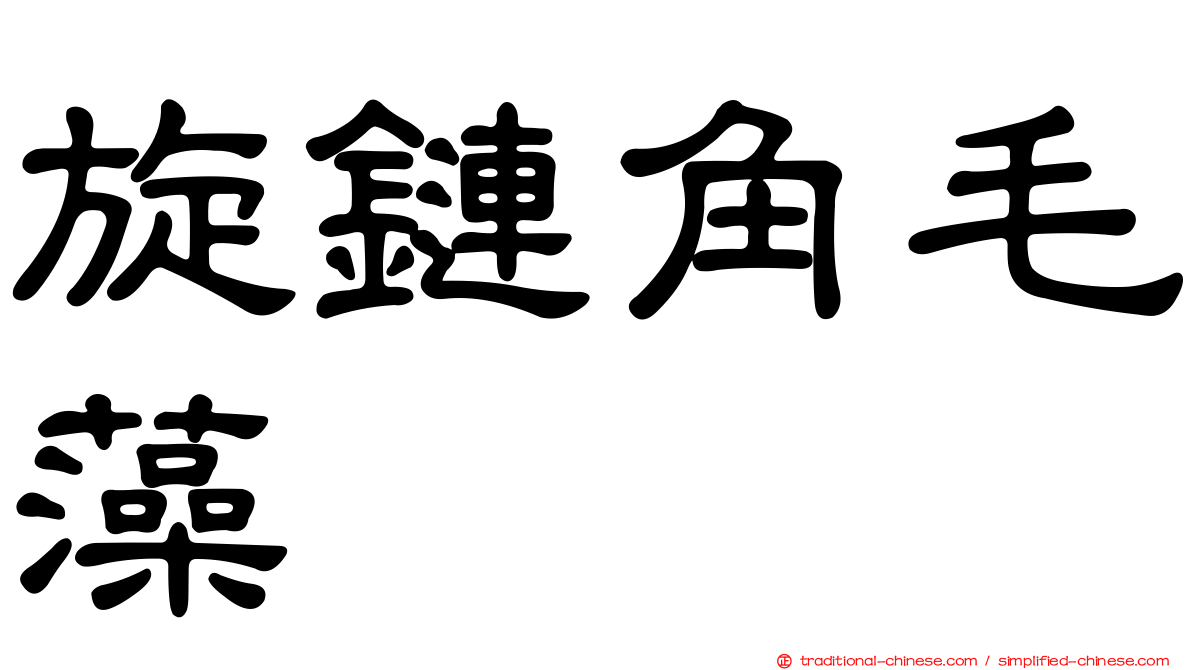 旋鏈角毛藻