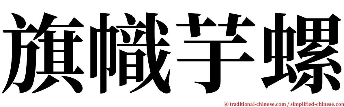 旗幟芋螺 serif font