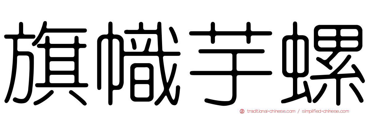 旗幟芋螺