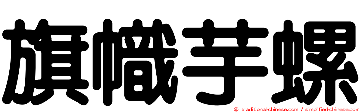旗幟芋螺