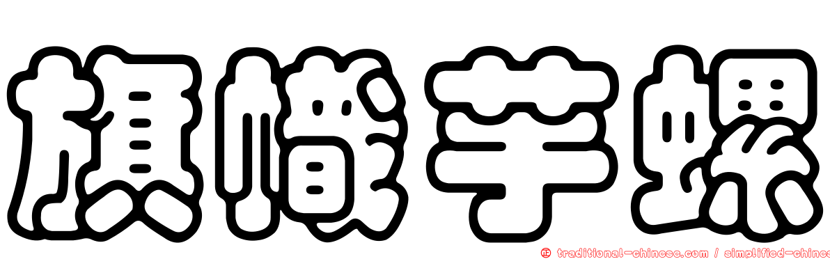 旗幟芋螺