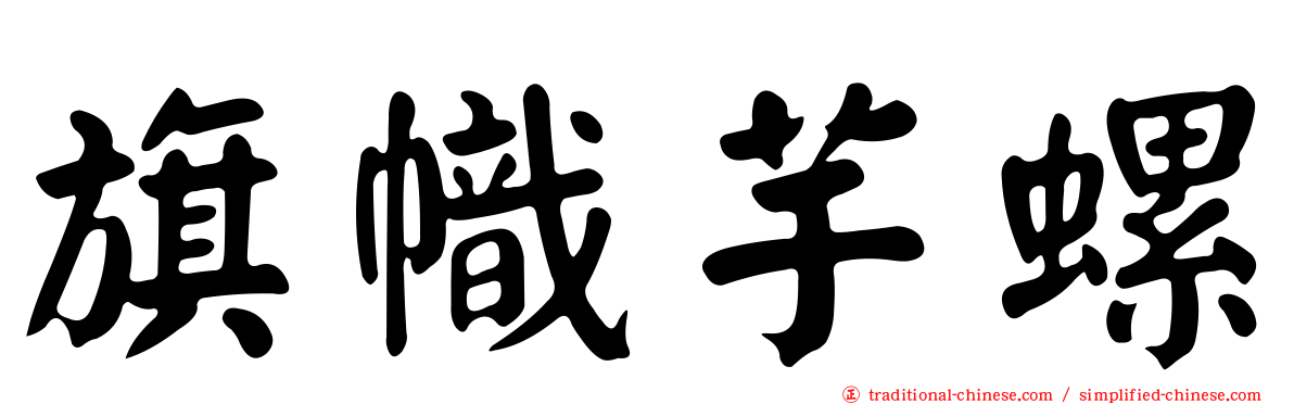 旗幟芋螺
