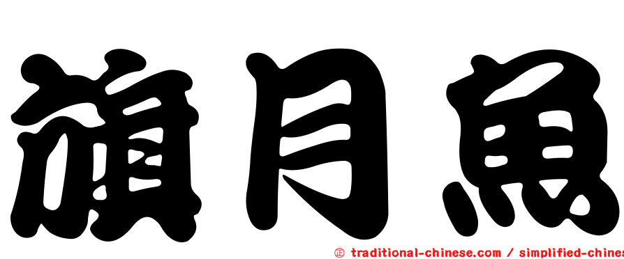旗月魚