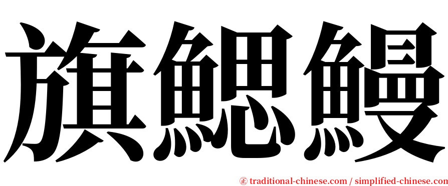 旗鰓鰻 serif font