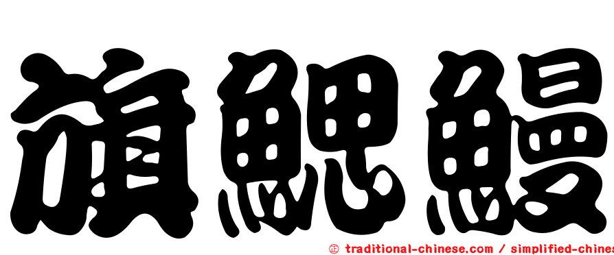 旗鰓鰻