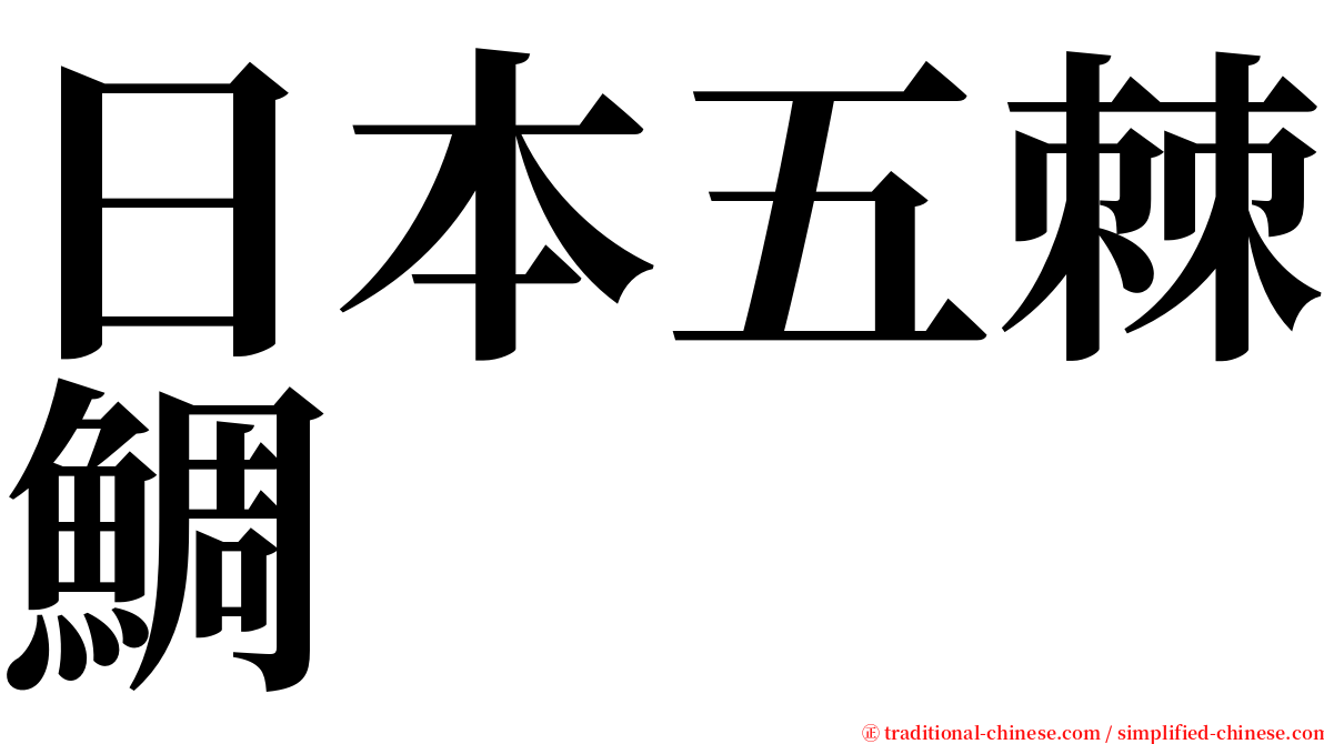 日本五棘鯛 serif font