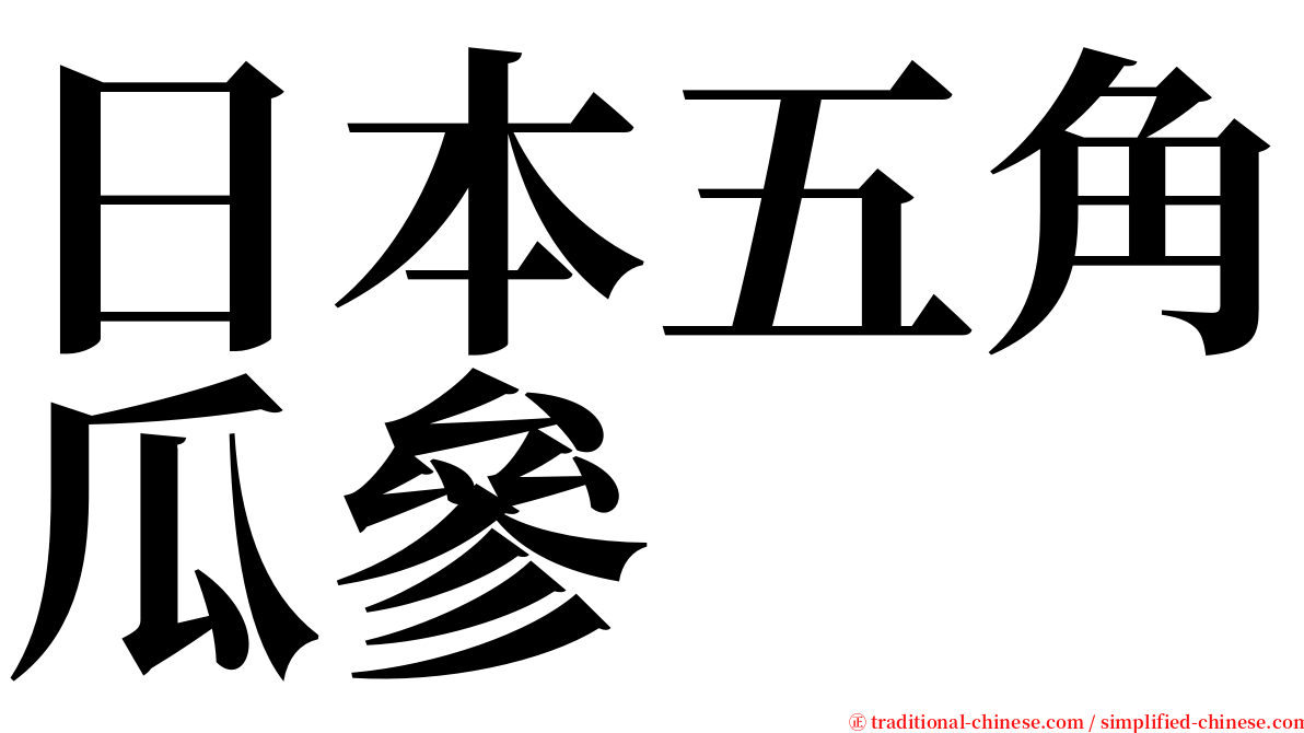 日本五角瓜參 serif font