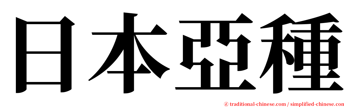 日本亞種 serif font