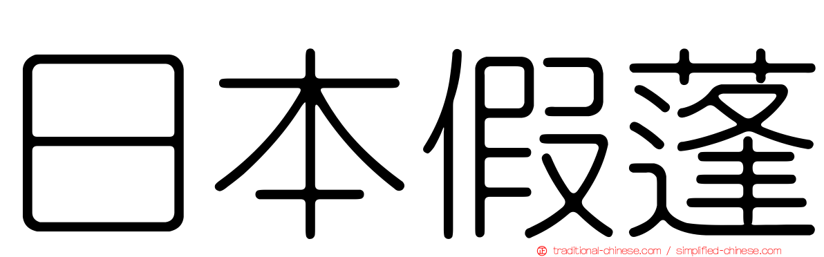 日本假蓬