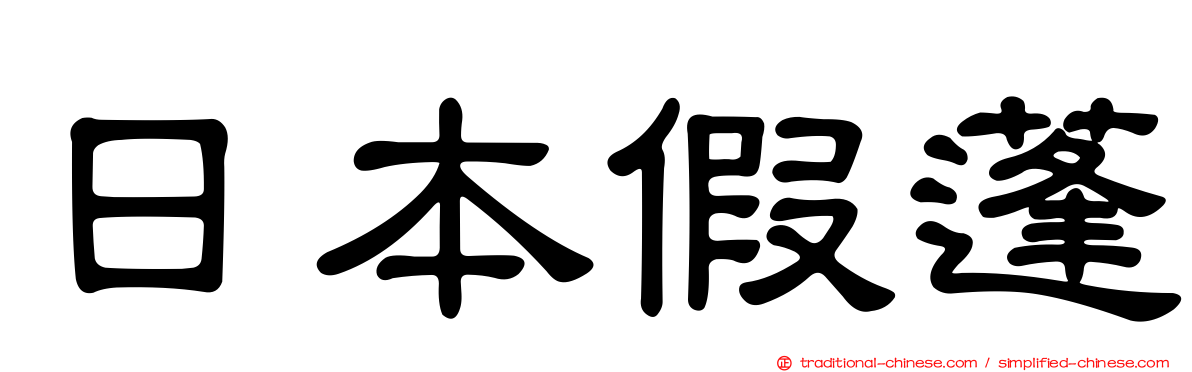 日本假蓬