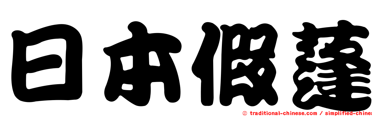 日本假蓬