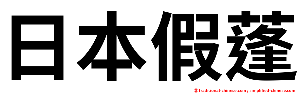 日本假蓬