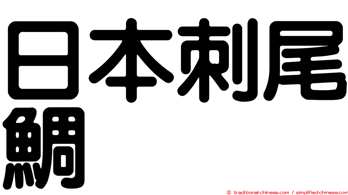 日本刺尾鯛