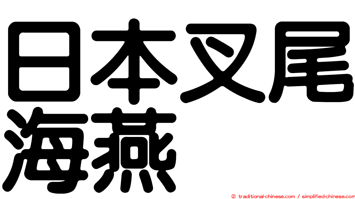 日本叉尾海燕