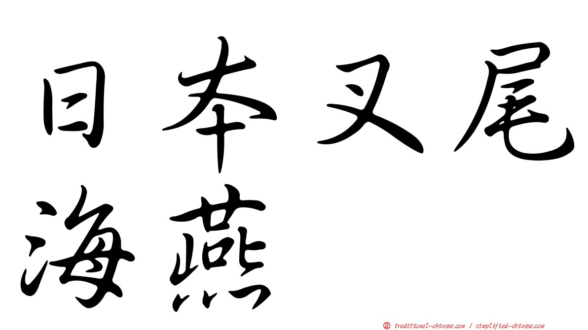 日本叉尾海燕