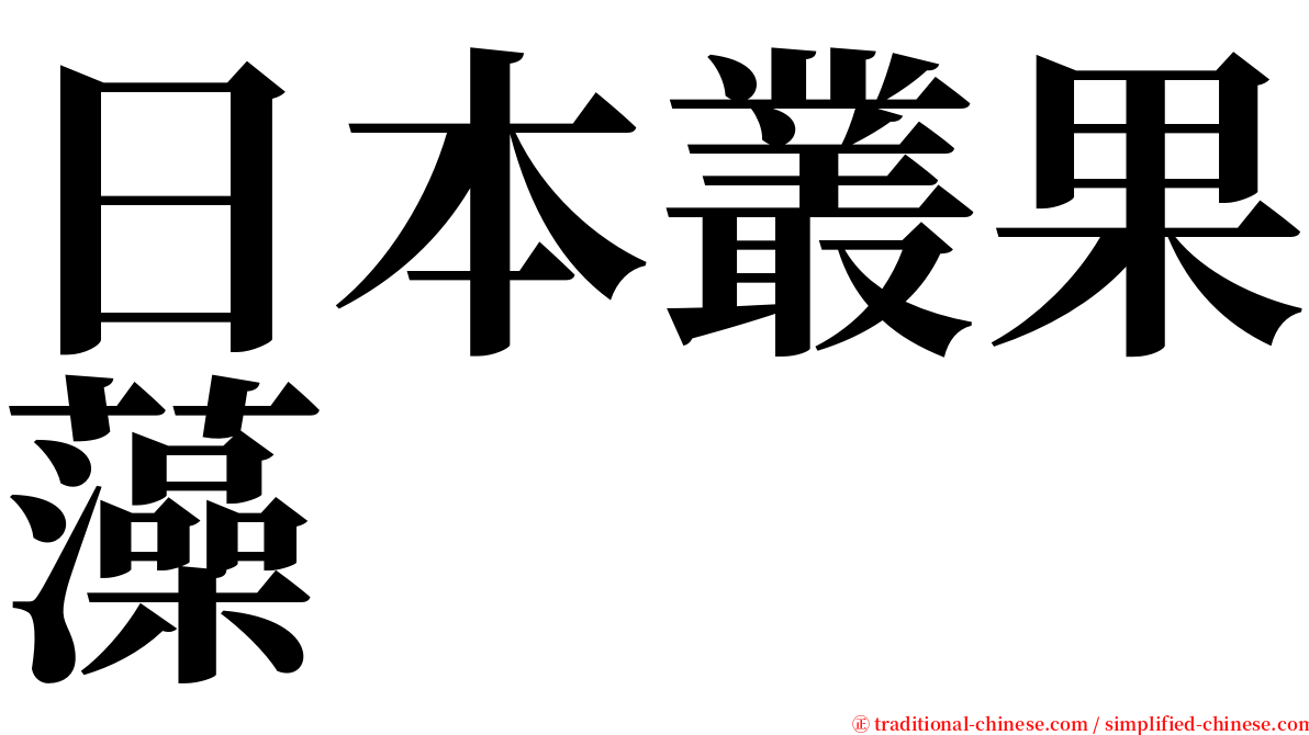 日本叢果藻 serif font