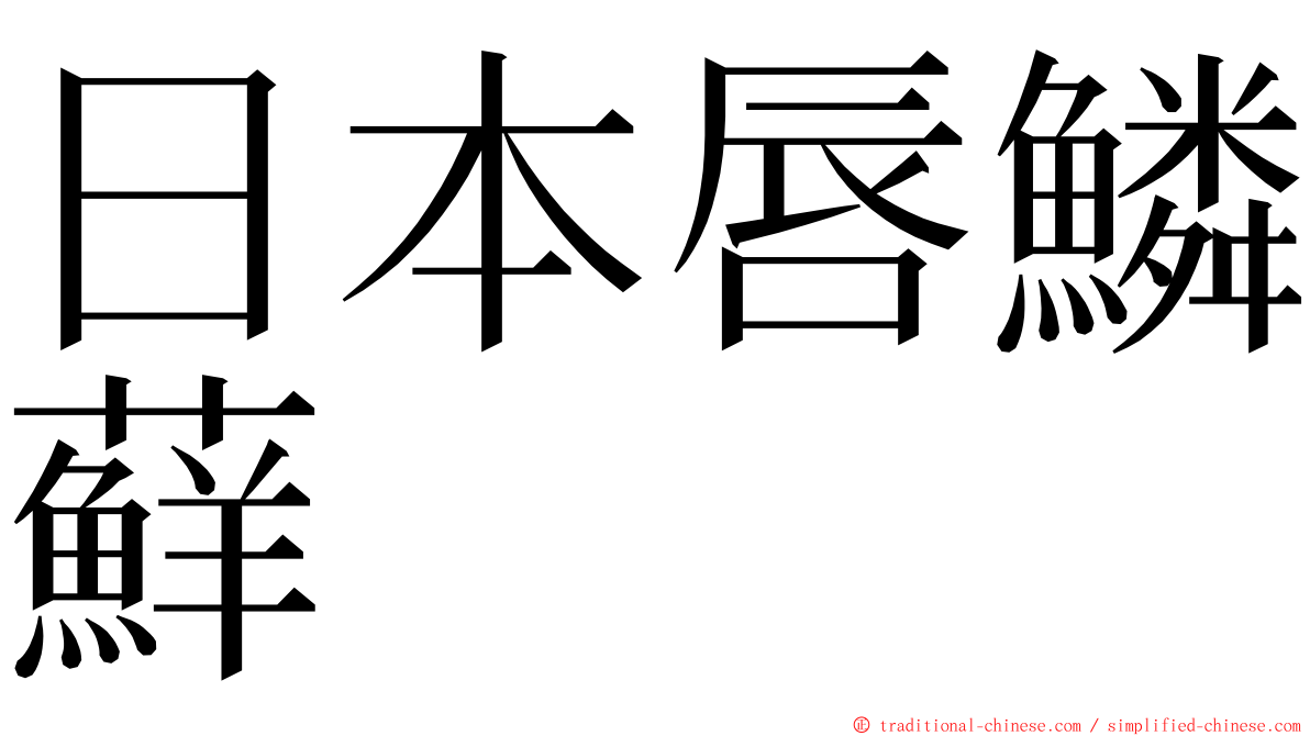 日本唇鱗蘚 ming font