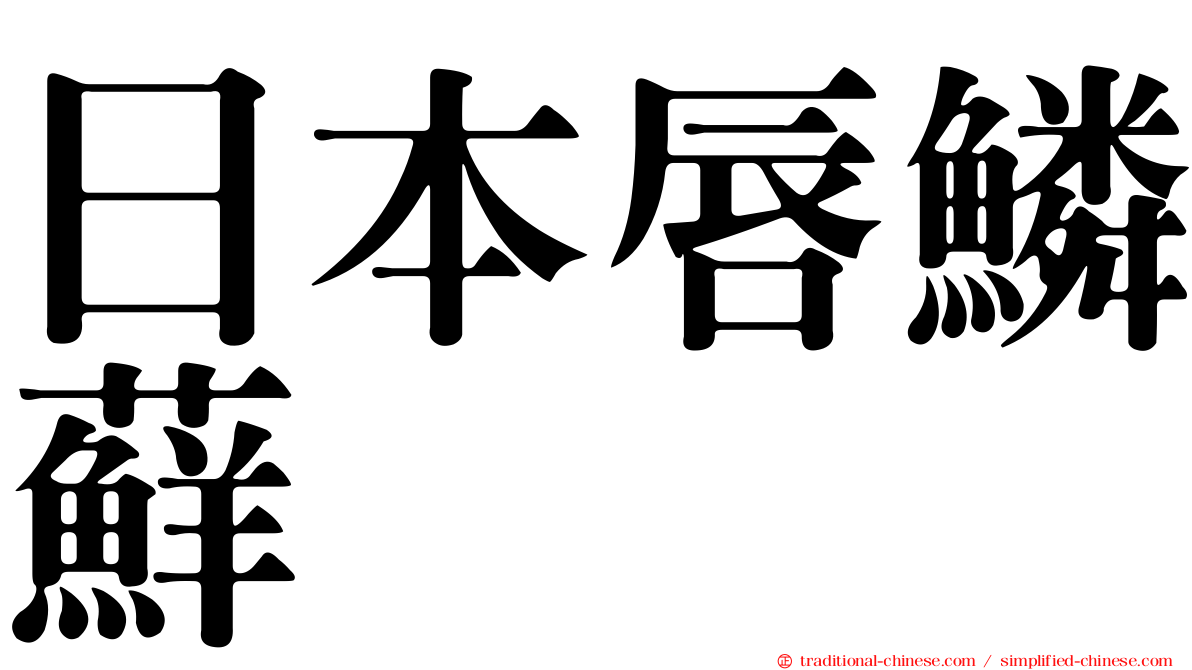 日本唇鱗蘚