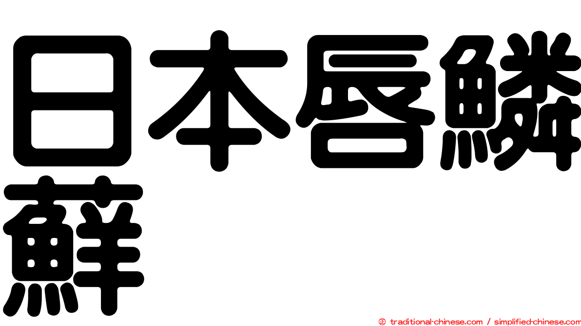 日本唇鱗蘚
