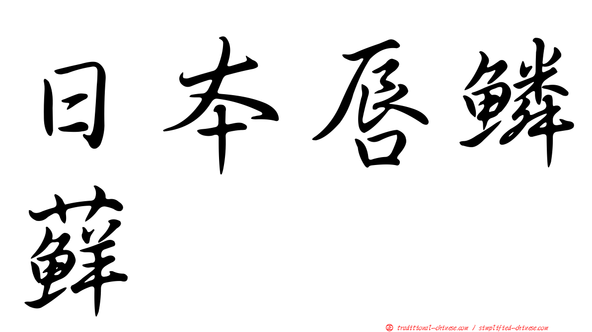 日本唇鱗蘚