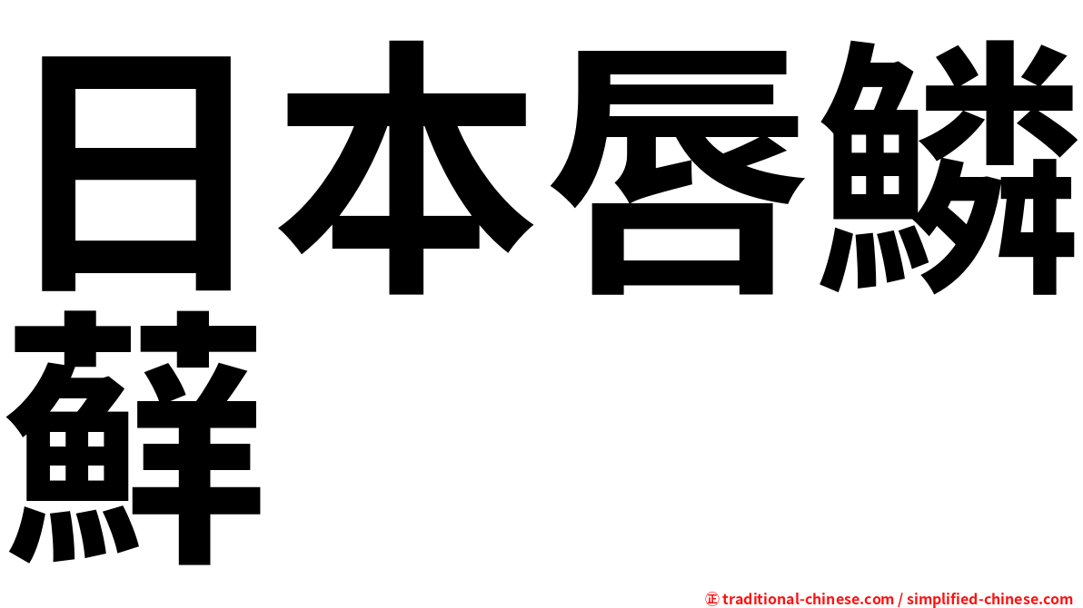 日本唇鱗蘚