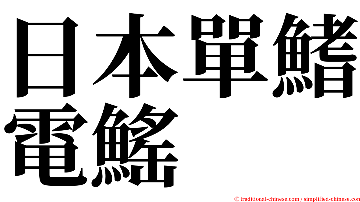 日本單鰭電鰩 serif font