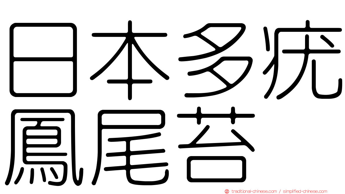 日本多疣鳳尾苔