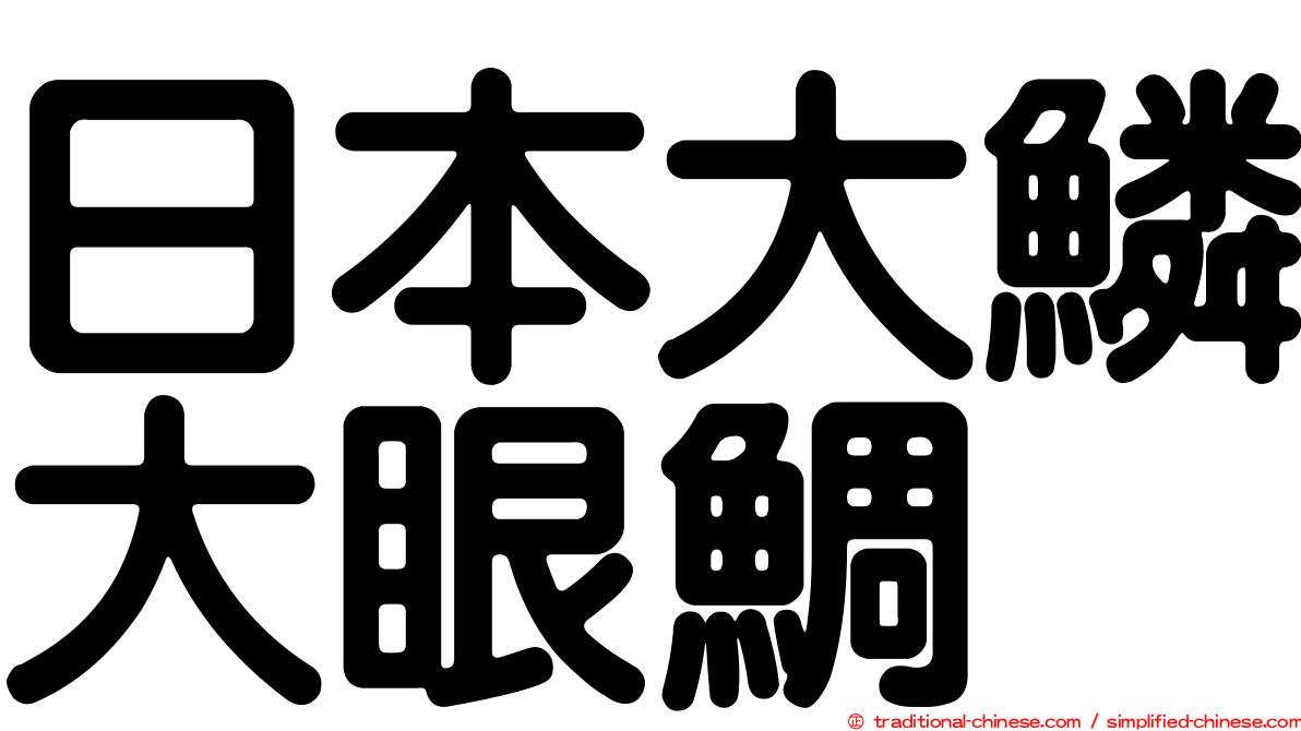日本大鱗大眼鯛