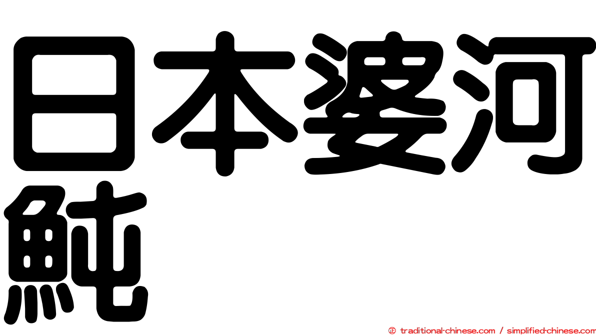 日本婆河魨