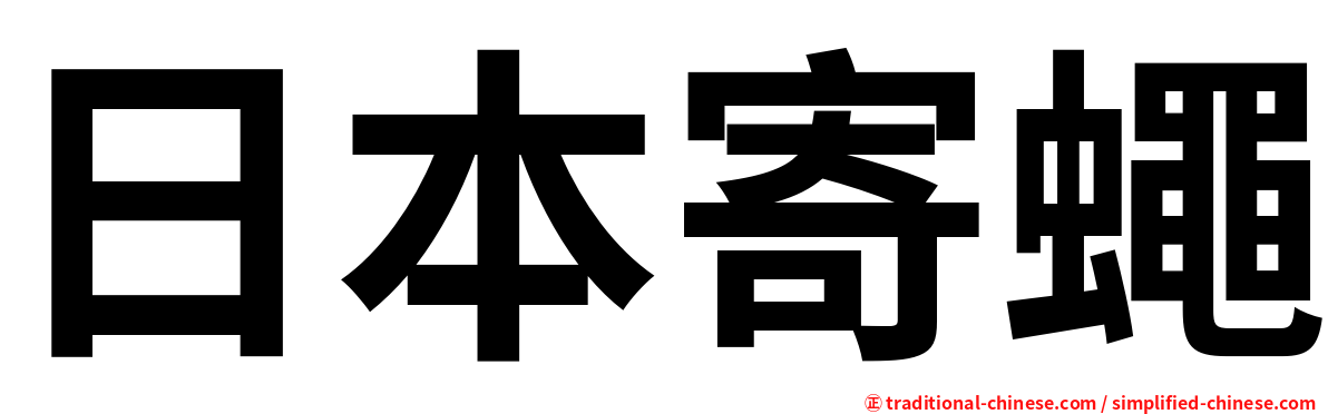 日本寄蠅