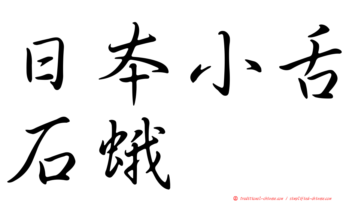 日本小舌石蛾