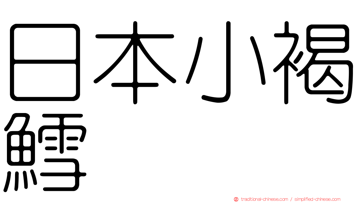 日本小褐鱈