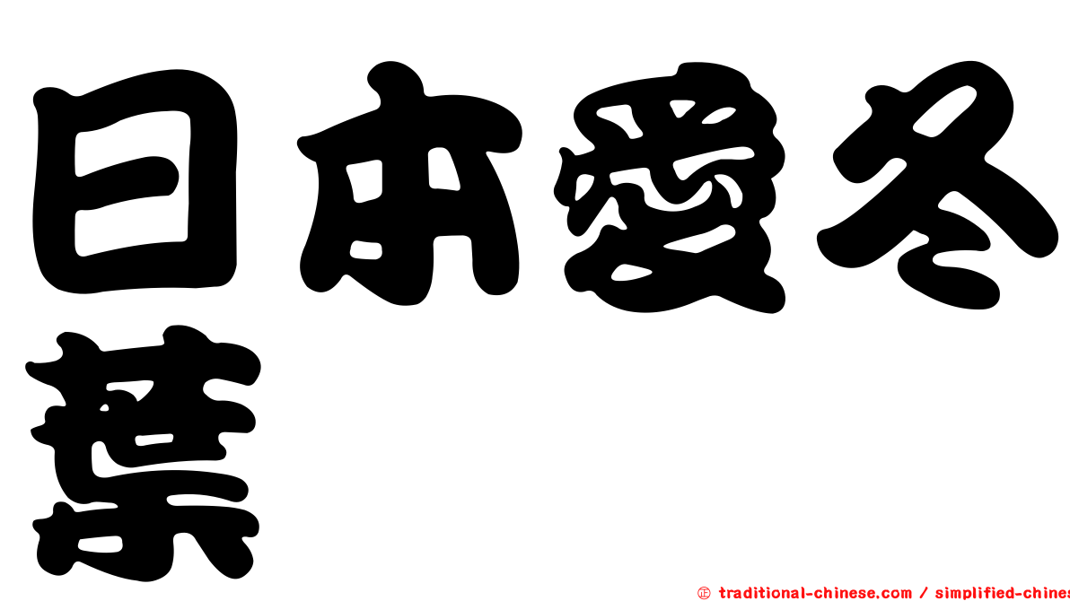 日本愛冬葉