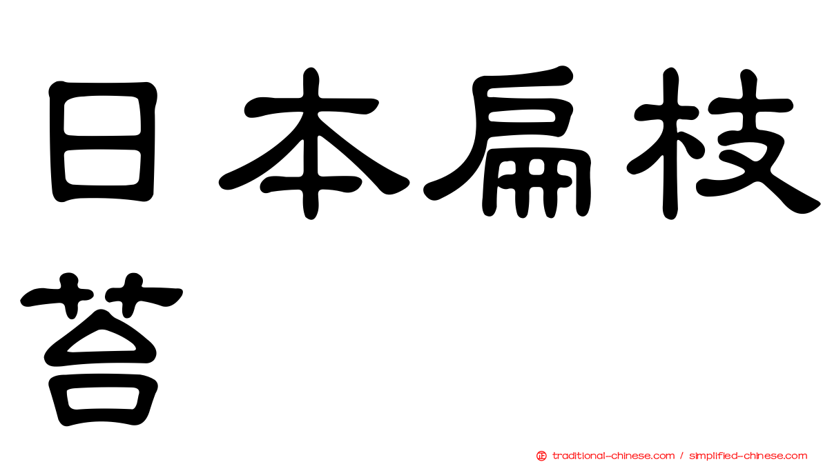 日本扁枝苔