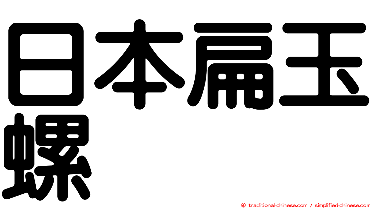 日本扁玉螺
