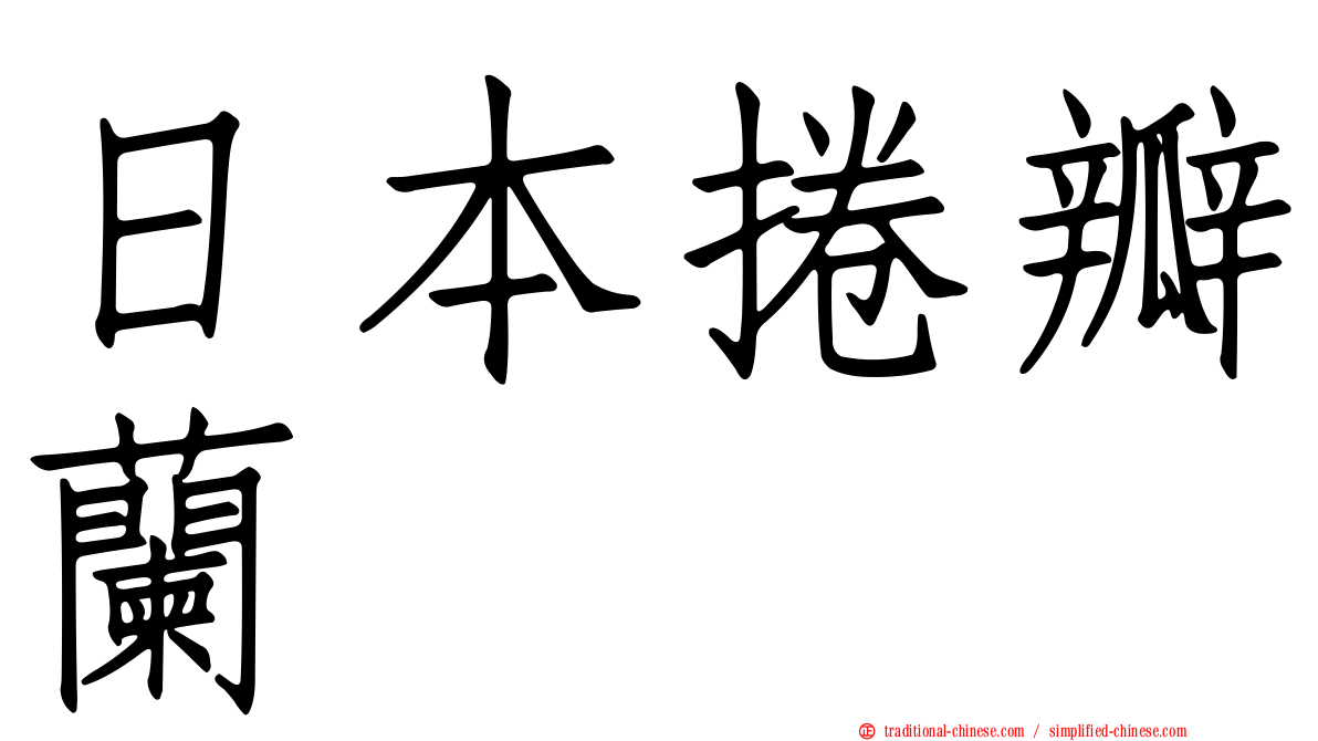 日本捲瓣蘭