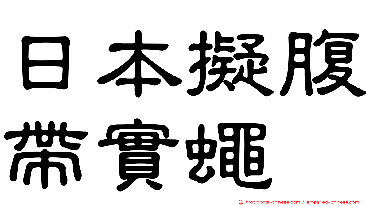 日本擬腹帶實蠅